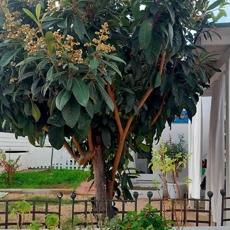 Lägenhet A Due Passi Dal Mare Porto Columbu - Perd'E Sali